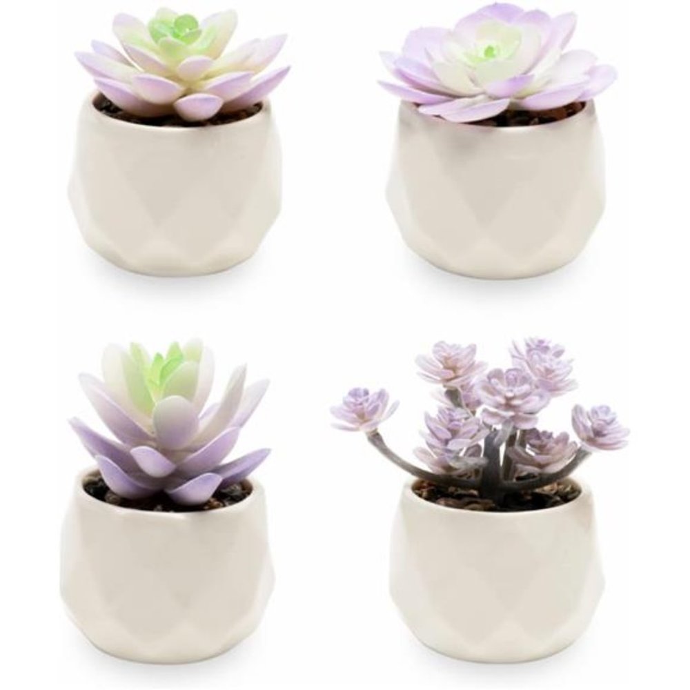 Artificial Purple Cactus Plant in White Ceramic Pots, Set of 4 - Mini Succulent